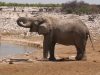 Etosha 2 179